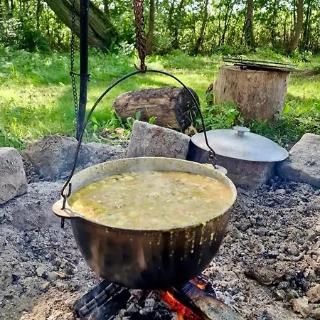 Σαλέ Letniskowe U Jedrusia I Madzi Orkusz *